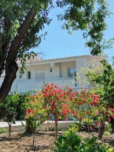 budynek z drzewami i kwiatami przed nim w obiekcie Casa Ferreri w mieście Santa Ninfa