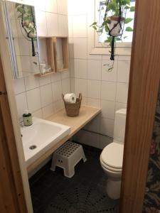 a bathroom with a sink and a toilet and a mirror at Country house Ruohoranta in Kuopio