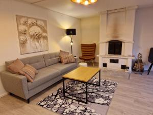 Villa Kataja في Siuntio: غرفة معيشة مع أريكة ومدفأة