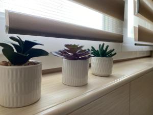 Fotografie z fotogalerie ubytování Apartment Lucia v destinaci Punat