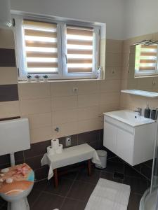 a bathroom with a sink and a toilet and windows at Apartment Lucia in Punat