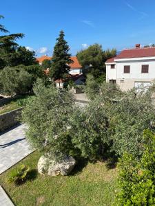 Zahrada ubytování Apartment Lucia