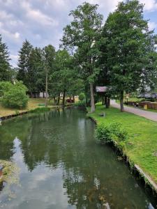 a pond of green water with trees and a sidewalk at Mieszkanie wakacyjne in Ruciane-Nida