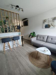 een woonkamer met een bank en een tafel bij Home Suite Metz & Place de parking privée in Metz