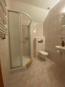 a bathroom with a shower and a toilet and a sink at Hotelik Zełwągi in Mikołajki +51 photos