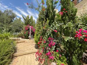 un jardin avec des fleurs roses sur un chemin en briques dans l'établissement Horizon1, à Amman