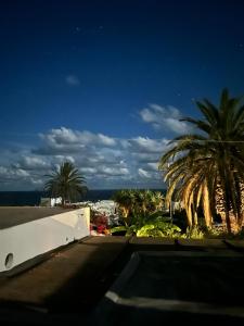 Blick auf Palmen vom Dach eines Gebäudes in der Unterkunft Casa K2 Stromboli in Stromboli