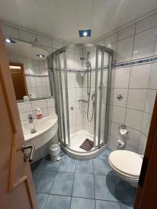 een badkamer met een douche, een toilet en een wastafel bij Hotel-Landpension Postwirt in Kirchensittenbach
