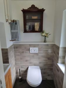 a bathroom with a toilet and a mirror at Sienkiewicza 4 in Złoty Stok