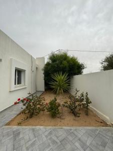 Fotografie z fotogalerie ubytování Belle Villa Djerba v destinaci Houmt Souk