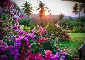 ogród kwiatów z zachodem słońca w tle w obiekcie Shrivasta Cottages 