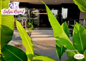 a group of green plants in front of a building at Salsa Resort Langkawi By Casa Loma in Pantai Cenang