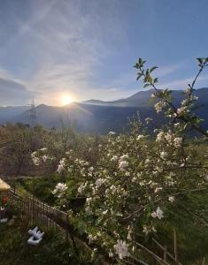 Φυσικό τοπίο κοντά σε αυτό το hostel