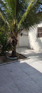 a palm tree in front of a building at Casa térrea com piscina e aconchegante perto da praia in Itanhaém