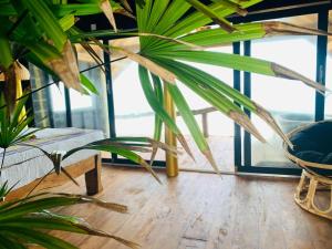 pokój z 2 krzesłami i rośliną w obiekcie Bara Beach Home w mieście Galle