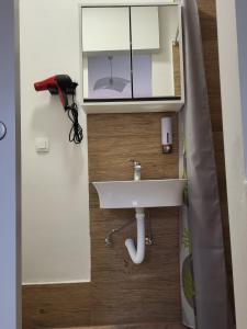 een badkamer met een wastafel en een spiegel aan de muur bij Rebro apartman in Zagreb