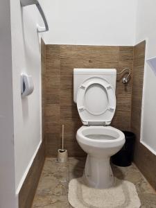 een badkamer met een toilet en een toiletborstel bij Rebro apartman in Zagreb