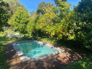 The swimming pool at or close to The Riverdeck Accommodation and Backpackers