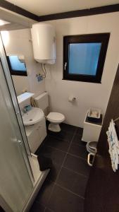 bagno con servizi igienici, lavandino e finestra di Apartman Giulitta a Porat