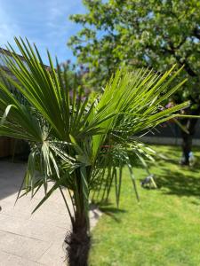 Vonkajšia záhrada v ubytovaní Appartement 3 lys
