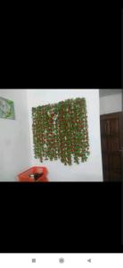ściana pokryta zielonym bluszczem na ścianie w obiekcie Au Havre de Paix w mieście Niamey