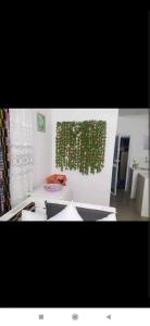 a kitchen with a bunch of green plants on the wall at Au Havre de Paix in Niamey