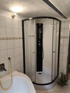 a bath tub with a shower in a bathroom at Ferienwohnung am Mühlbach in Klipphausen