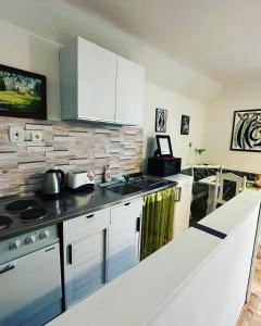 Kuchyňa alebo kuchynka v ubytovaní Apartmány MK u MODRÉ KOČKY