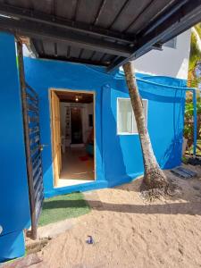 a blue house with a palm tree in the doorway at Cabaña La Punta in Isla Grande