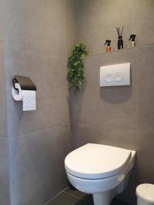 Billede fra billedgalleriet på Studio Watertoren met tuin en gratis parkeren i Goes + 22 billeder