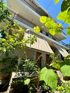 un edificio con plantas verdes delante de él en Bora Rooms, en Himare