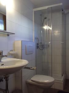 uma casa de banho com um chuveiro, um WC e um lavatório. em Sagzahnblick em Kundl