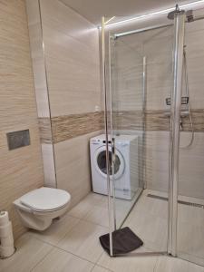 Koupelna v ubytování Apartmán Eliášova + 9 fotografií