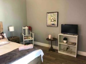 TV a/nebo společenská místnost v ubytování Gatsby Suite, with pool in quiet area, close to town