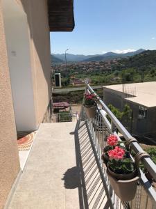 a balcony with two potted plants on a building at Apartman DALT in Trebinje