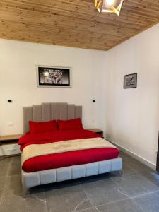 Postel nebo postele na pokoji v ubytování Qyteza Guest House & Camping