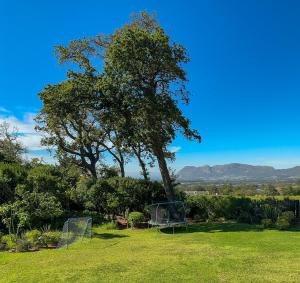 a field with a tree and a soccer goal at Valley View Cottages in Cape Town