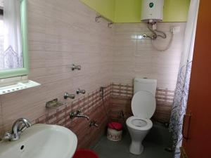 een kleine badkamer met toilet en wastafel bij Zimkhang Guesthouse in Gangtok