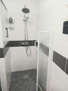 um chuveiro com uma porta de vidro na casa de banho em Villa Tranquilla apartment em Oliveira do Hospital