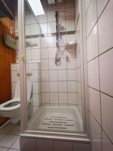 a small bathroom with a shower and a toilet at Ferienwohnung Am Rubersbach in Hornberg