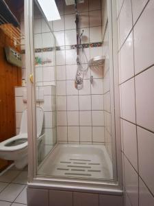 Ένα μπάνιο στο Ferienwohnung Am Rubersbach
