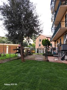 Κήπος έξω από το La casetta al mare di Bubi +17 φωτογραφίες