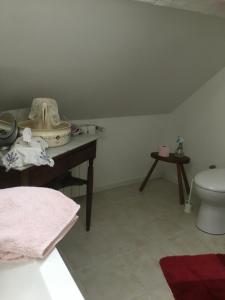 a bathroom with a sink and a toilet at Chambres de la Choisille à Fondettes st Cyr Tours in Fondettes