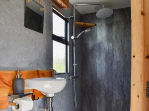 een badkamer met een wastafel en een douche bij Deer Close - Uk45787 in Millom