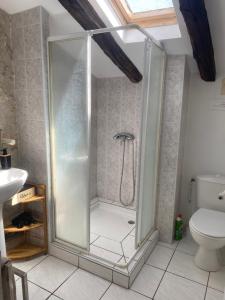 a shower stall in a bathroom with a toilet at CHEZ SOPHIE -Chambres d’hôtes, Gîte et Gîte équestre in Clermont-Dessous