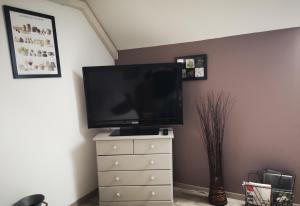 TV a/nebo společenská místnost v ubytování Chambre Fleurs de Lys proche Zooparc de Beauval et des Châteaux de la Loire