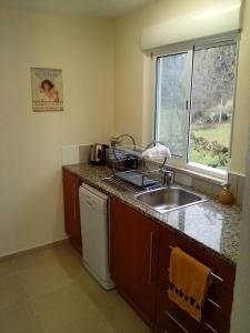 uma cozinha com um lavatório e uma máquina de lavar louça em Villa Tranquilla apartment em Oliveira do Hospital