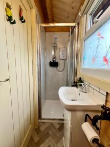a small bathroom with a sink and a shower at Shepherds Retreat Anglesey in Llanerchymedd