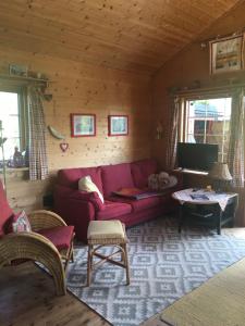 a living room with a red couch and a tv at Haukeli Mountain Cabin in Vågsli