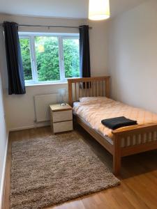 1 dormitorio con cama, ventana y alfombra en Fully accessible Hampshire Home en Waterlooville